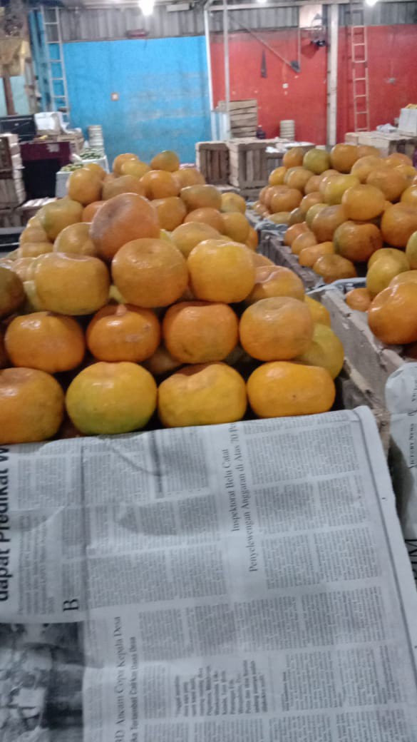 Dress / Tunik Rajut Batik