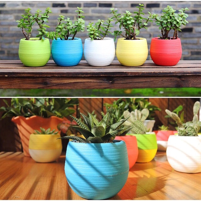 Pot bunga mini plastik