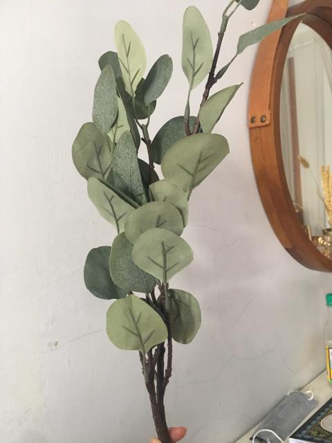 Euca. Eucalyptus Artificial