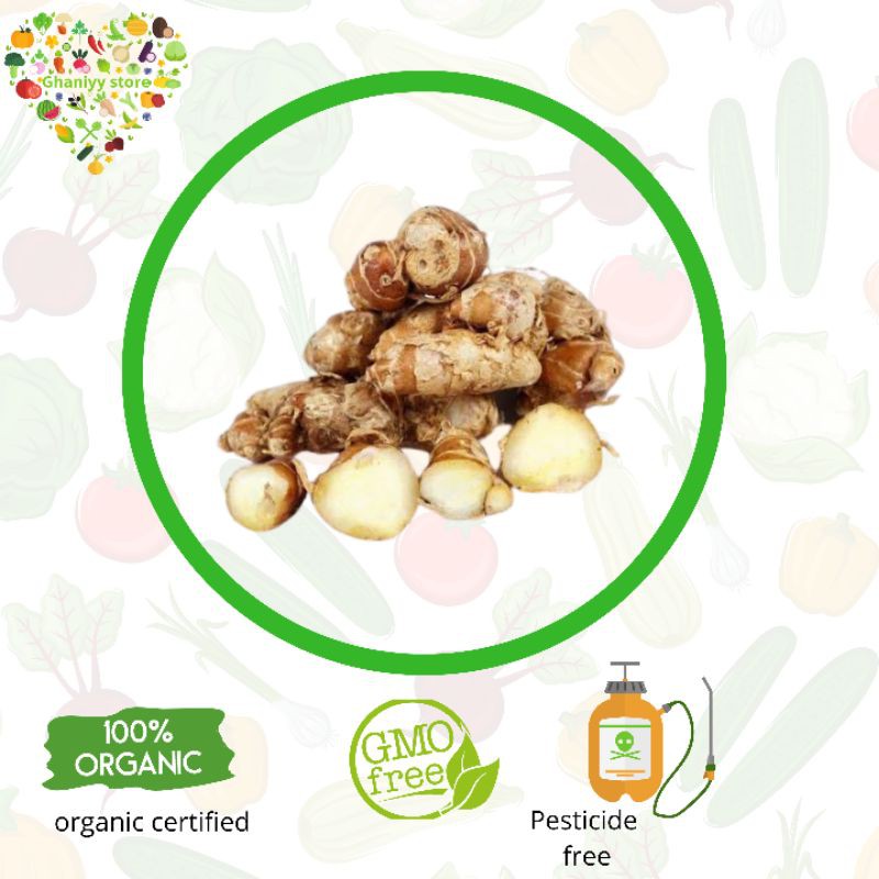 

sayur organik - kencur organik 250 gram