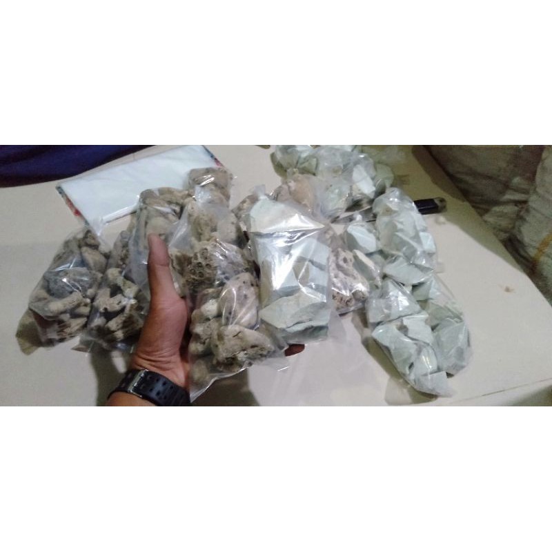 batu karang jahe untuk kolam ikan