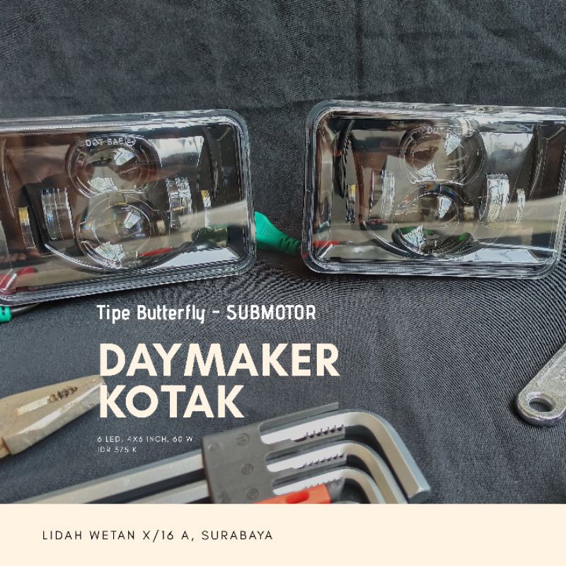 daymaker kotak butterfly