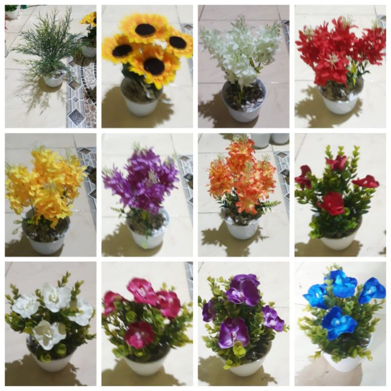 Bunga anggrek, bunga hias, bunga meja