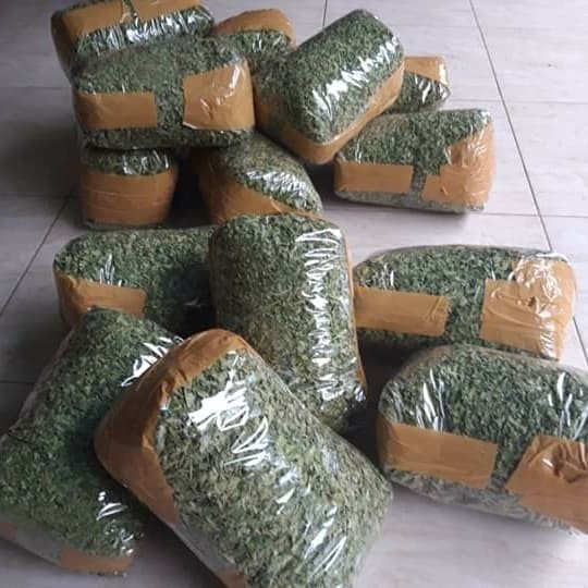 

ORIGINAL MURAH Daun Tin Kering original Teh Herbal Teh Daun Tin Kering murah