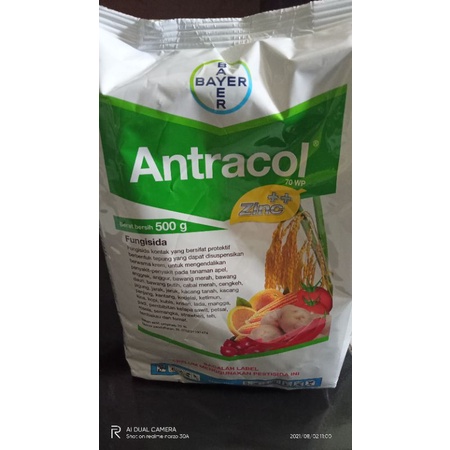 ANTRACOL 70WP 500gram