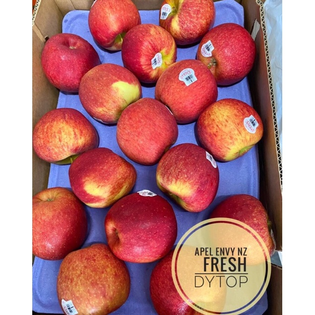 

Buah Apel ENVY New Zealand Jumbo Import Manis Fresh Segar - Per 1 Kg