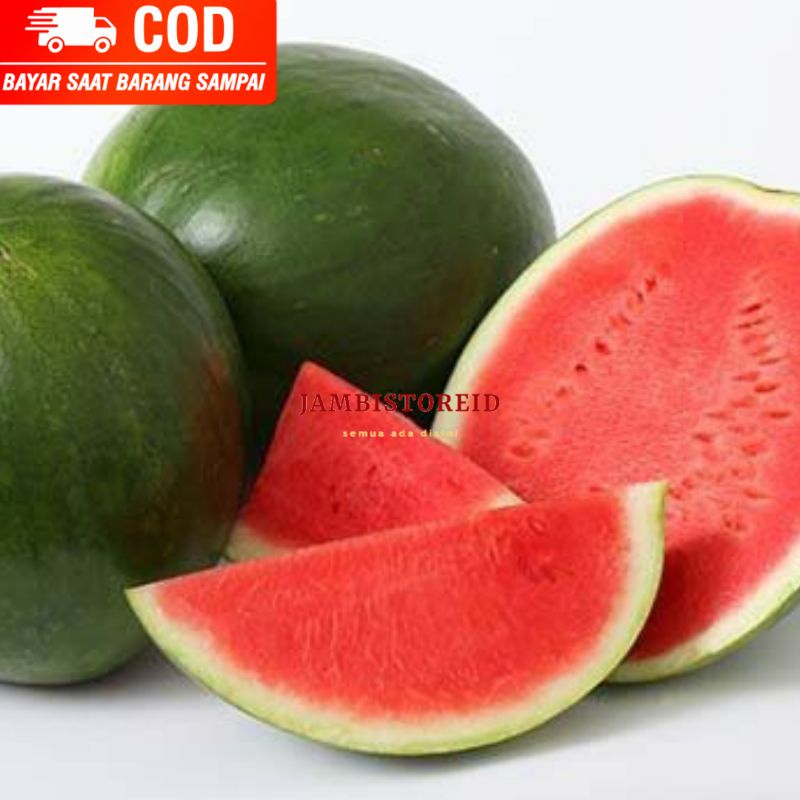 

(JAMBISTOREID) JAMBI LANGSUNG KIRIM Buah Semangka Madu Manis Fresh Medium 4-5kg Jambi