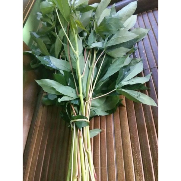 

Daun Singkong Ikat Per ikat