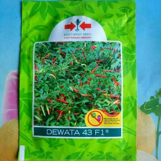 Benih Bibit Tanaman Pertanian Cabai Cabe DEWATA 43 F1 2250 butir
