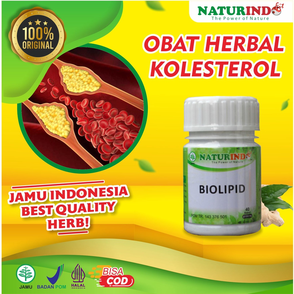 Jual Obat Kolesterol Kolestrol Tinggi Herbal Ampuh Obat Penurun