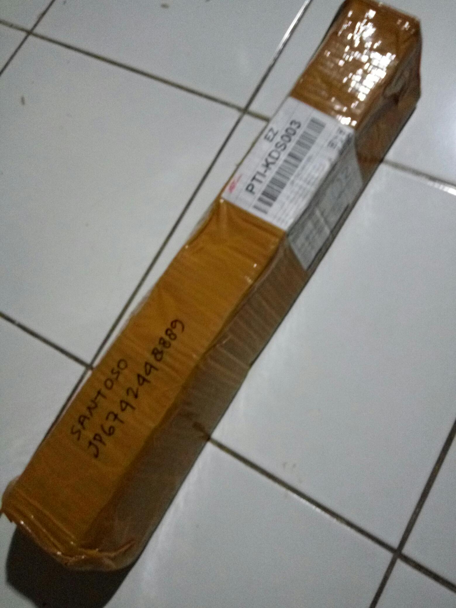 Bibit Bonsai Ficus Kimeng 30-45cm