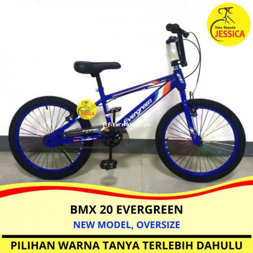 Sepeda Anak Bmx 20 Evergreen 043