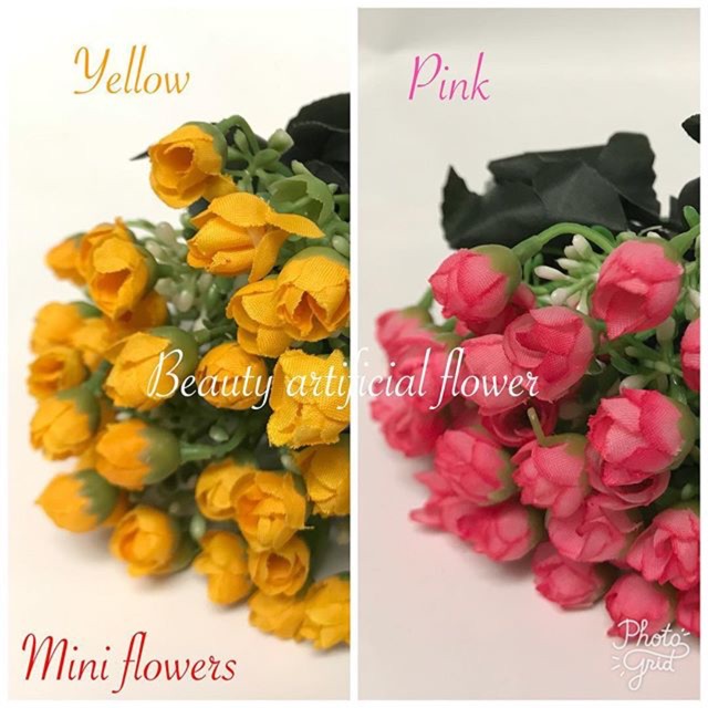 Rose kelereng, mini flower