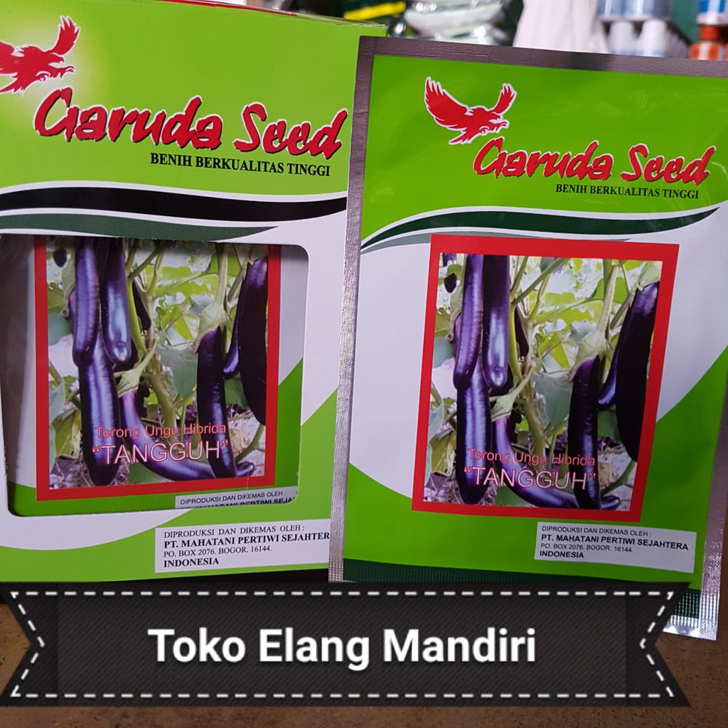 BENIH BIBIT BERKUALITAS TINGGI TERONG UNGU HIBRIDA TANGGUH GARUDA SEED