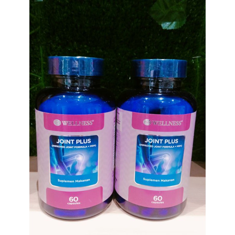 WELLNESS JOINT PLUS 60 KAPSUL
