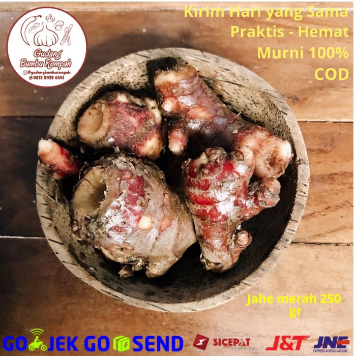 

Jahe Merah 250 Gr Rempah Bumbu Dapur jahe segar jahe merah