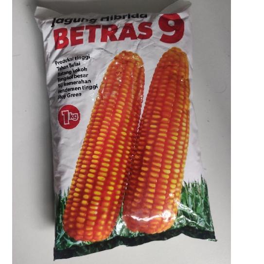 (BEST SELLER) PROMO Benih bibit jagung hibrida Betras 9 (umur pendek/genjah) BINTANG ASIA