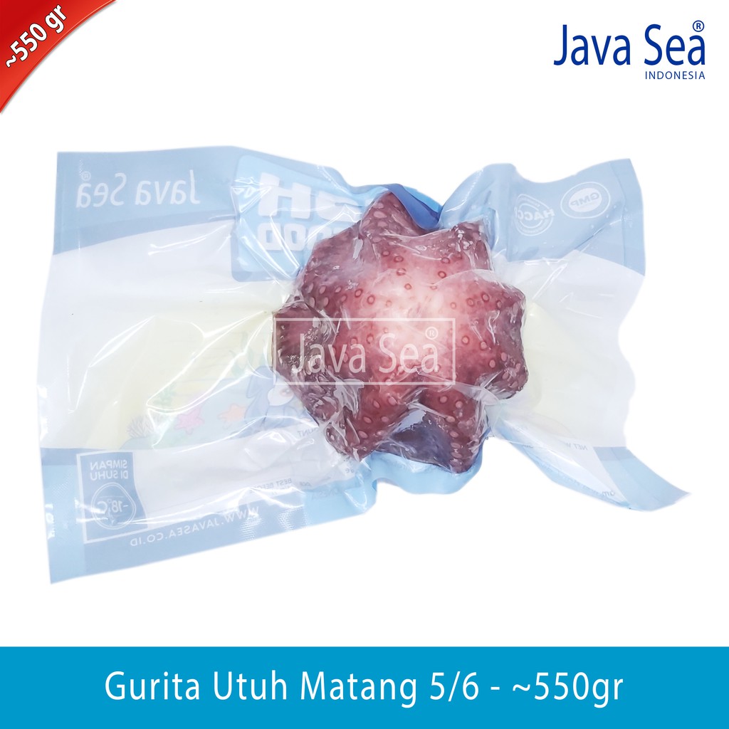 

Gurita Utuh sudah matang 5/6 pack 500-600gr Java Sea