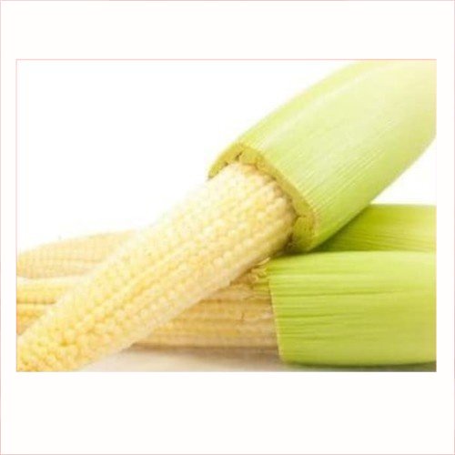 

Janten / Jagung Putren / Baby Corn 250gr | Pasar Induk Pekanbaru #Harga_Grosir