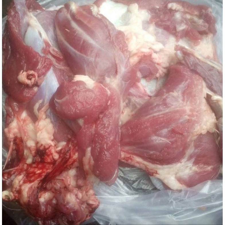 

Daging Kambing Muda Fresh segar
