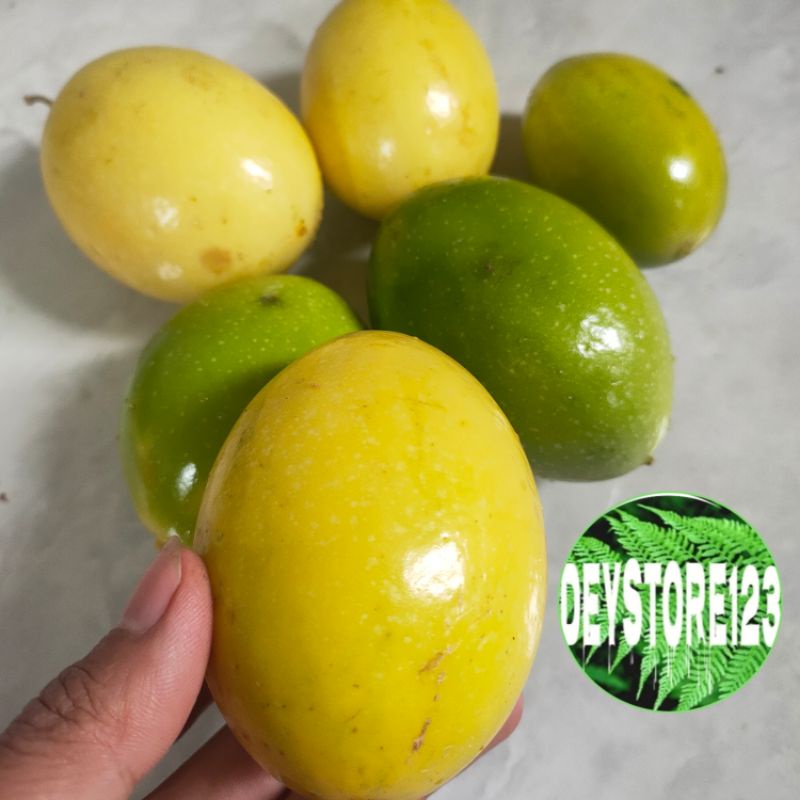 

Buah saprola markisa segar berat 500 grm