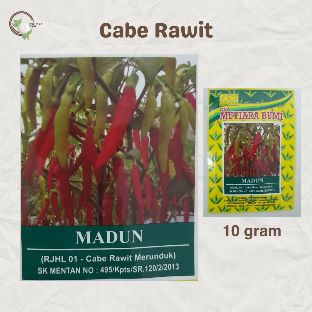 BENIH CABE RAWIT MADUN CAP MUTIARA BUMI | 10 gram
