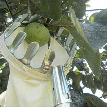 (BOW) Alat Pemetik Buah Metal Fruit Picker Alat Bantu Petik Buah 5DD05