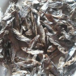 

Ikan Keropos / Kropos Ikan Kering Lauk IstimewaI