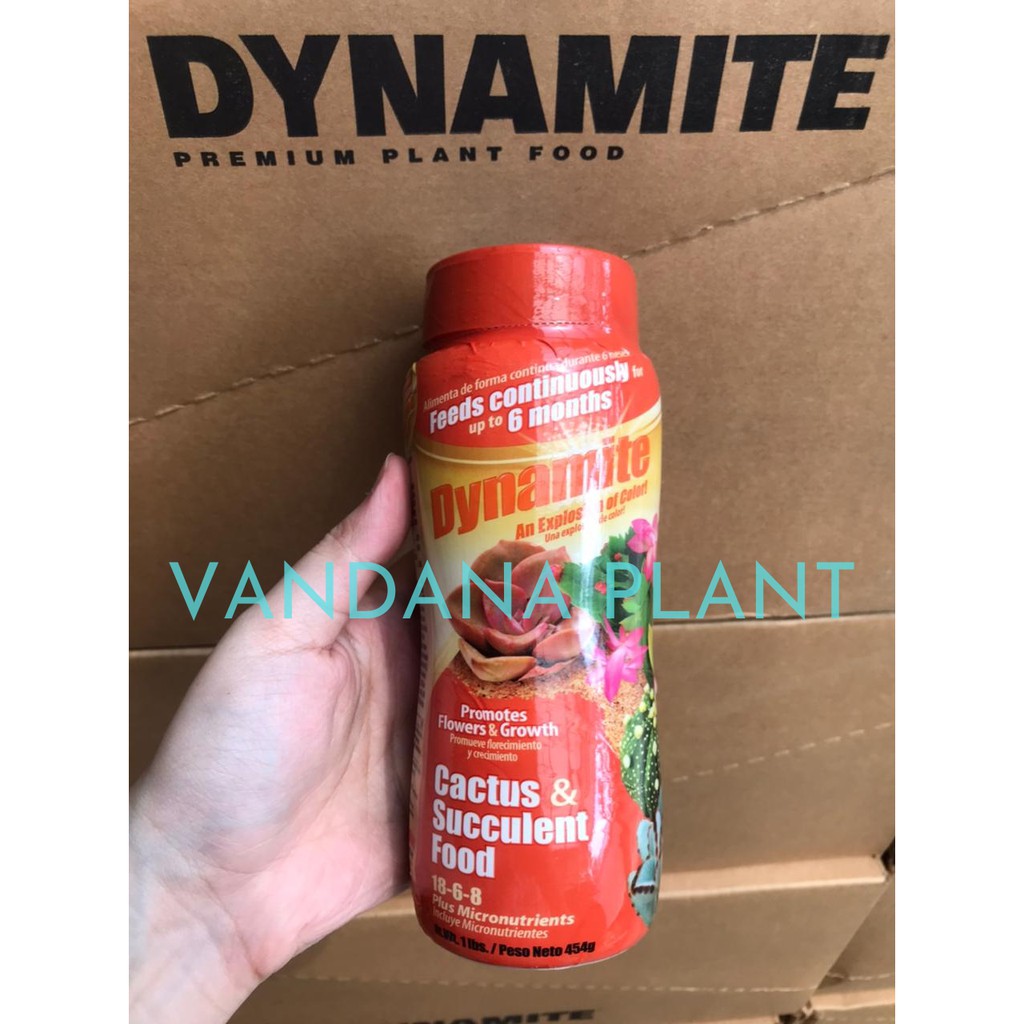 Jual PUPUK DYNAMITE CACTUS & SUCCULENT (454gr) Shopee Indonesia