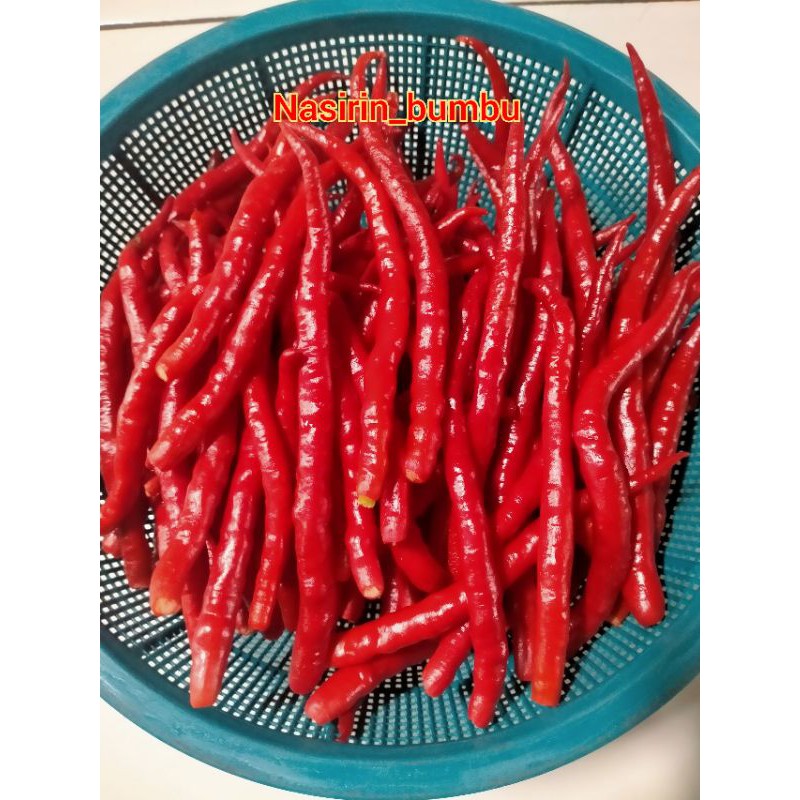 

CABAI MERAH PETIK SUPER