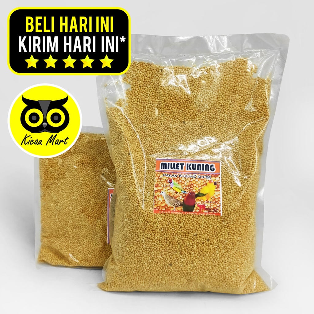 Milet Kuning 1 Kg Organic R-Fam Jaya Pakan Burung Lovebird Parkit Love Bird Lb Kenari Finch Millet Kuning Pakan Perkutut Gacor Hamster