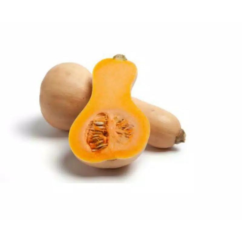 

Butternut Pumpkin / Labu Madu / Butternut squash Organik Segar Berat 900 - 1200 gram