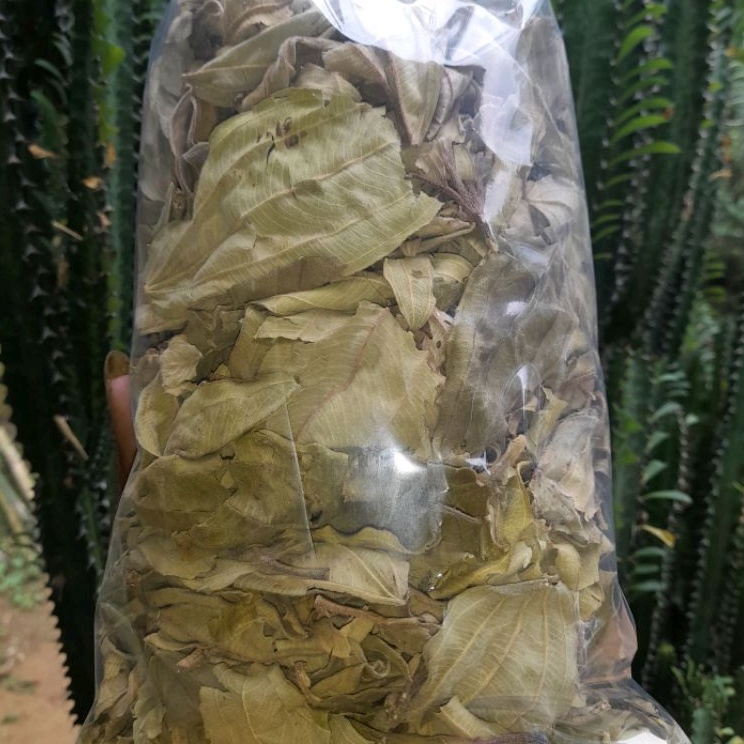 Teh Daun harendong kering per 300grm