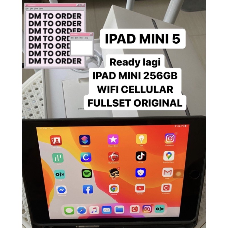 ipad mini 5 256gb wifi cell second