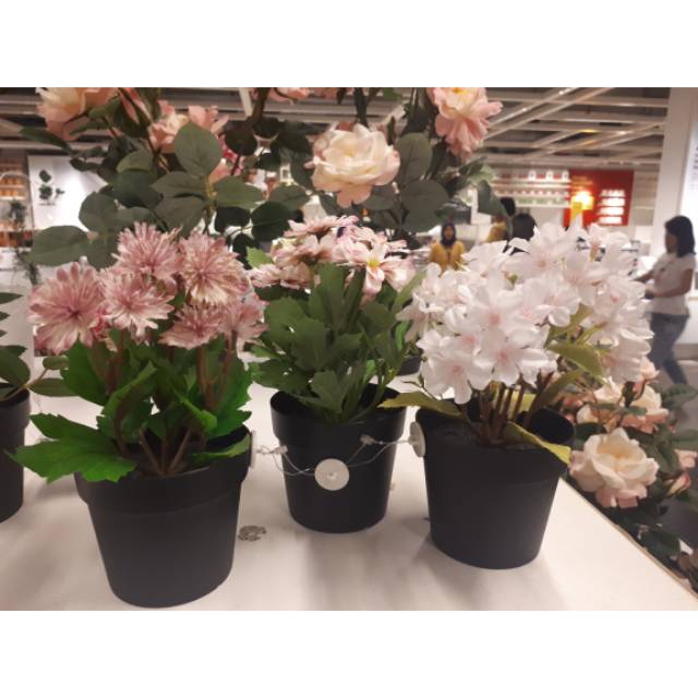 

TANAMAN BUNGA FEJKA SET OF 3 PINK/PUTIH