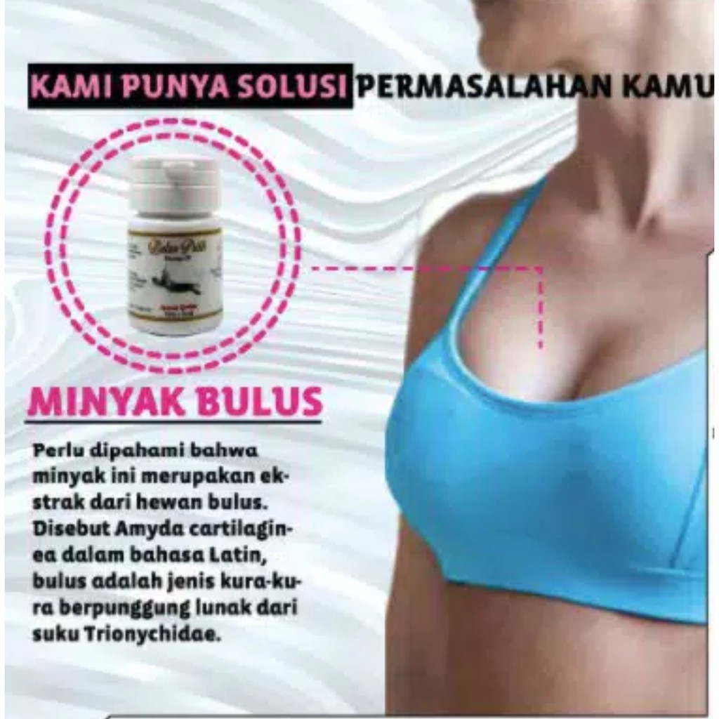 MINYAK BULUS PUTIH BPOM ORIGINAL - MASSAGE OIL / MENGENCANGKAN PAYUDARA SECARA ALAMI