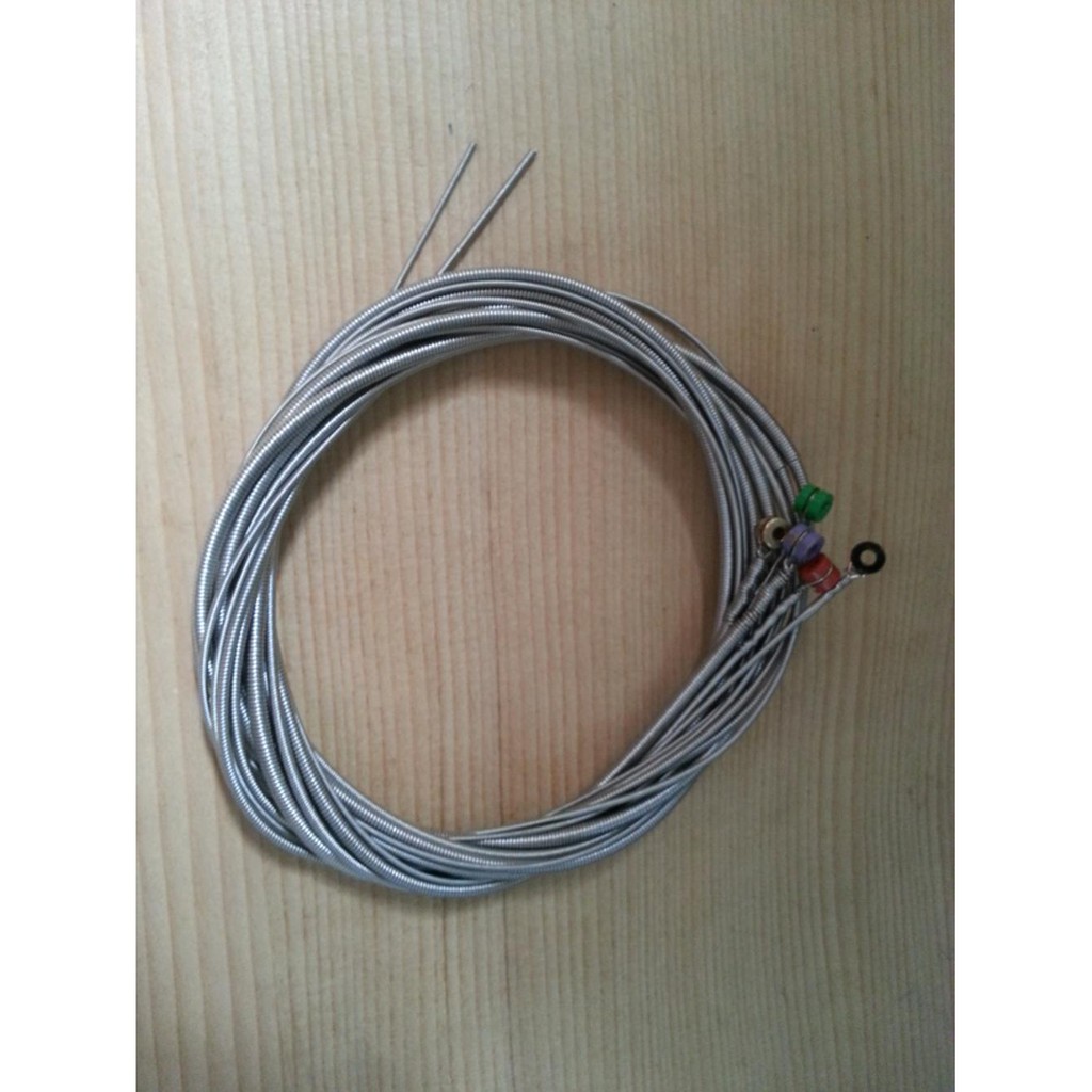 Senar Bass 5 Strings Daddario UNPACKING