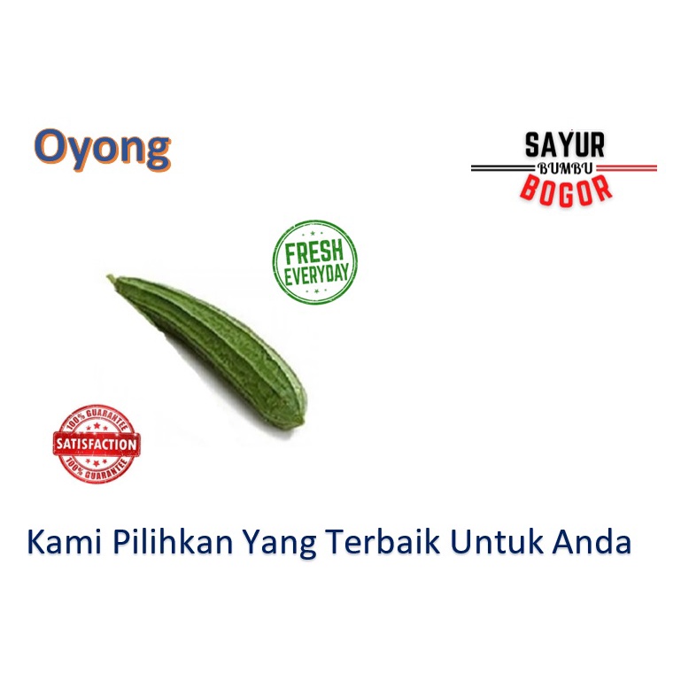 

Oyong / Sayur Oyong / Sayur Segar