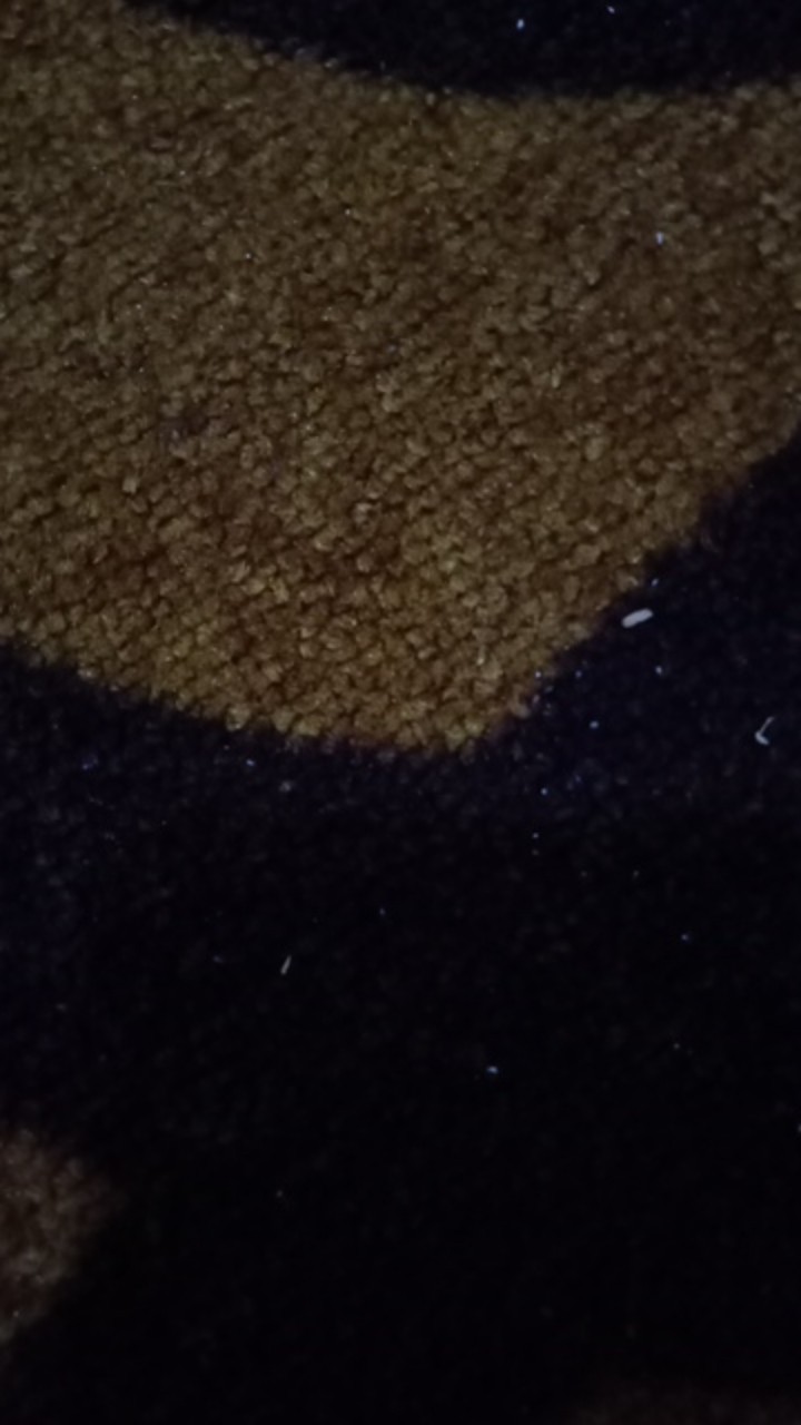 Sendok Takar Kopi 7gr Bubuk Teh Gula Kue Tepung Coffee Spoon 0.25oz