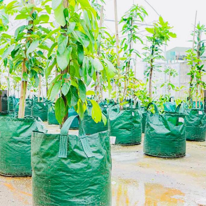 Planter Bag Eco Pack 20 Liter Green HDPE Original Kualitas Ekspor Tabulampot