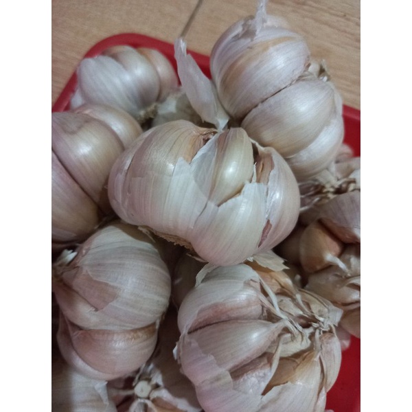 

Bawang Putih honan