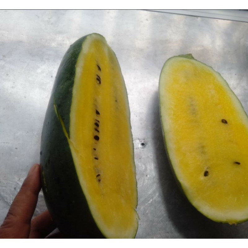 

semangka baby black kuning berat 2 kg