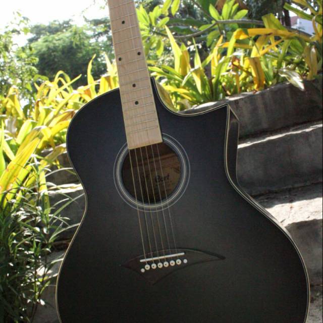 Gitar akustik cort