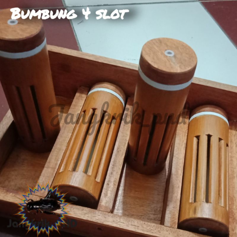 kandang jangkrik aduan bambu bulat 4 slot - bumbung jangkrik aduan unik - kandang jangkrik genggong