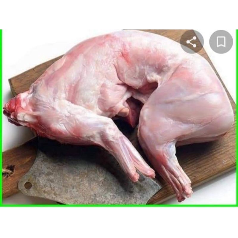 

daging kelinci karkas fresh segar ..siap kirim seluruh nusantara