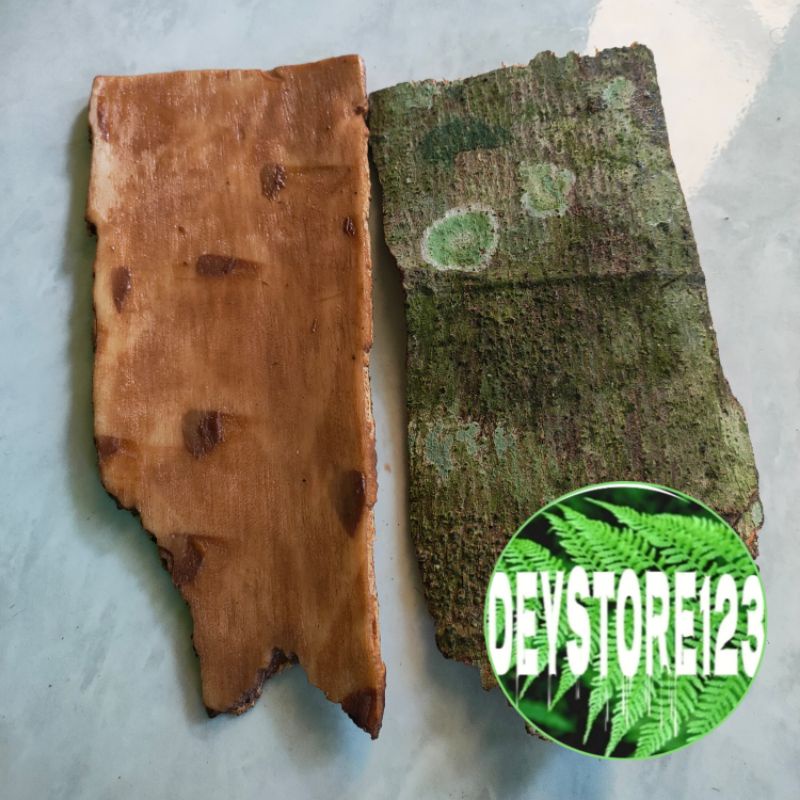 

Kulit Pohon Ara Atou Loa 150 Gram