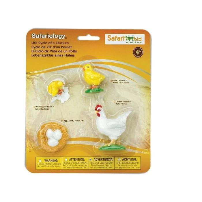

BEST SELLER!!! SAFARI LTD LIFE CYCLEOF A CHICKEN TERMURAH