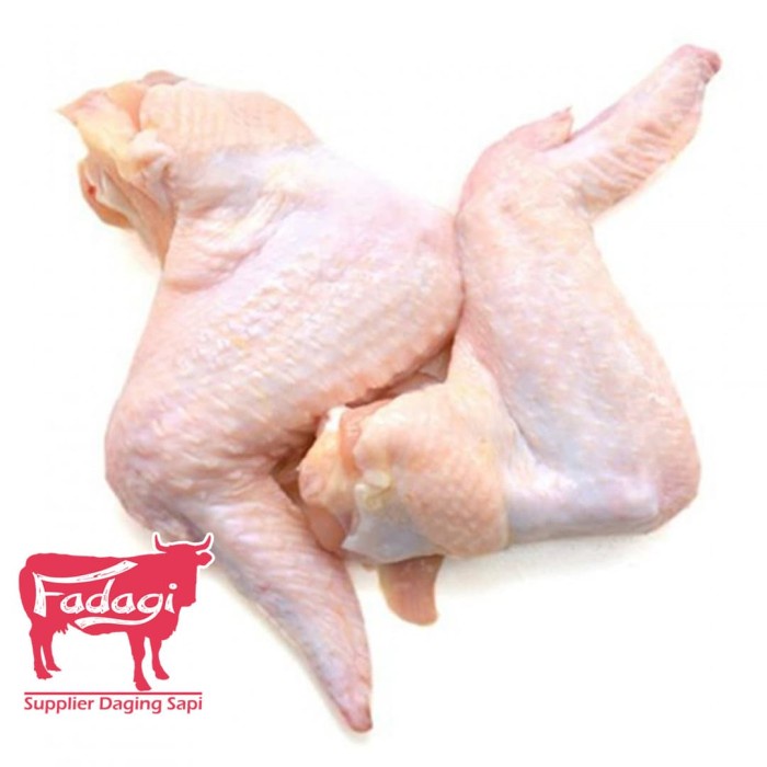 

SAYAP AYAM FRESH DAN SEGAR