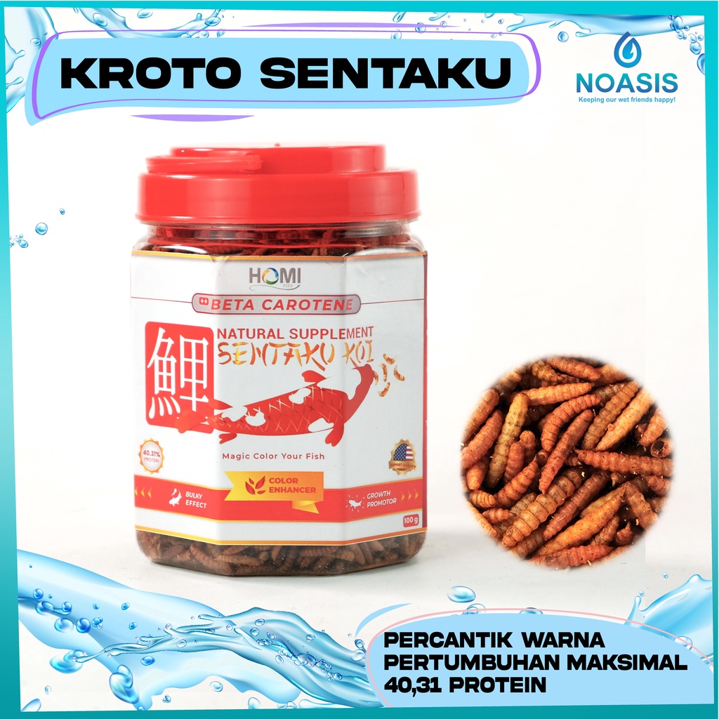 KROTO SENTAKU RED MAGGOT 100 GR MAGOT PAKAN MAKANAN IKAN ARWANA KOI PREDATOR