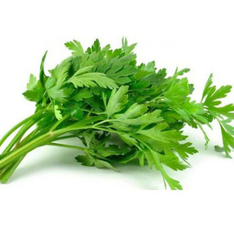 

Sayur Sayuran Daun Seledri 100 Gram Pasar Segar Depok